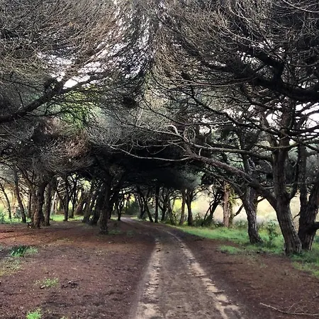 Hortas Do Rio - Alojamento de Turismo Rural *